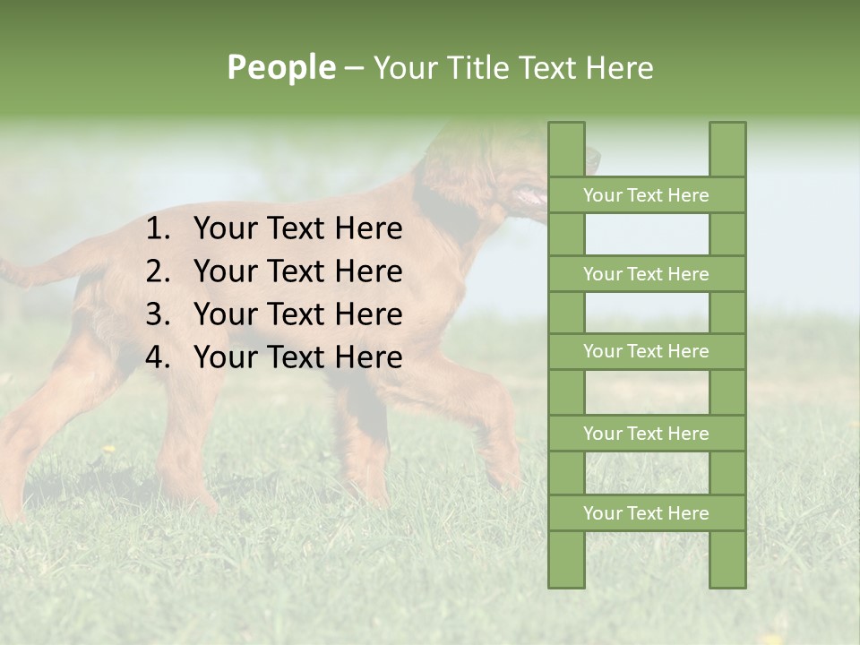 A Brown Dog Running Across A Lush Green Field PowerPoint Template