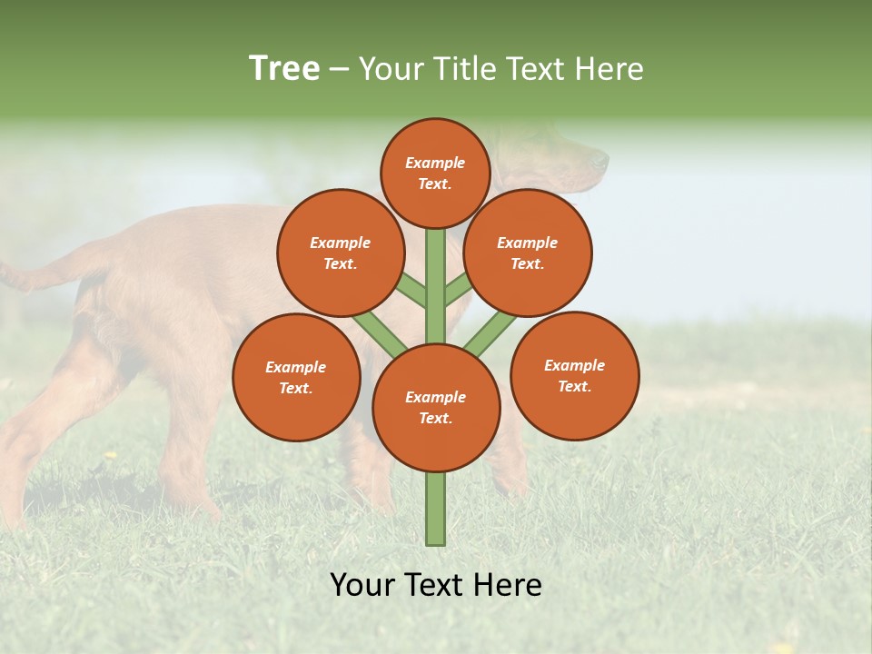 A Brown Dog Running Across A Lush Green Field PowerPoint Template