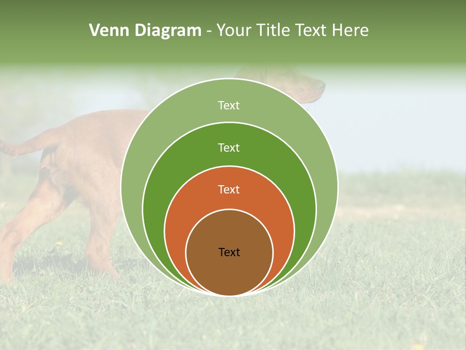A Brown Dog Running Across A Lush Green Field PowerPoint Template