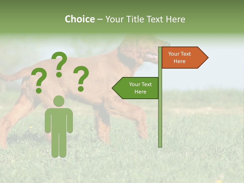 A Brown Dog Running Across A Lush Green Field PowerPoint Template