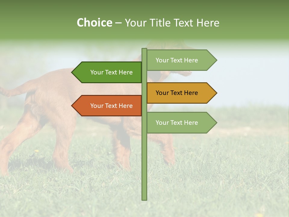 A Brown Dog Running Across A Lush Green Field PowerPoint Template
