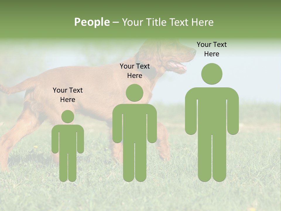 A Brown Dog Running Across A Lush Green Field PowerPoint Template