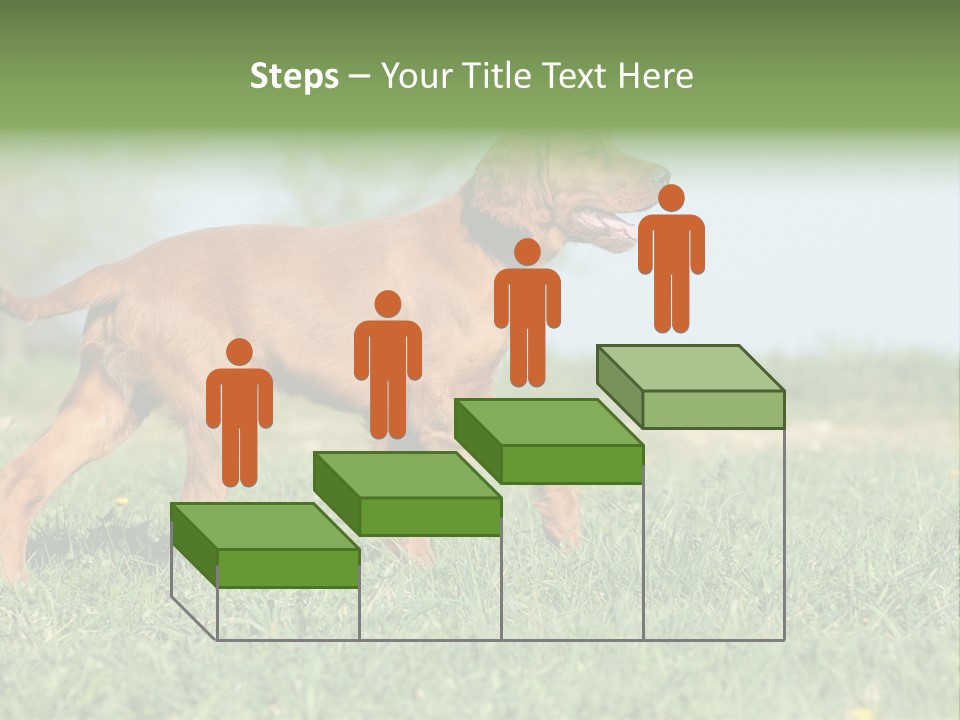 A Brown Dog Running Across A Lush Green Field PowerPoint Template