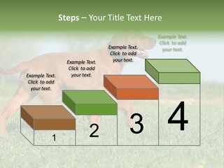 A Brown Dog Running Across A Lush Green Field PowerPoint Template