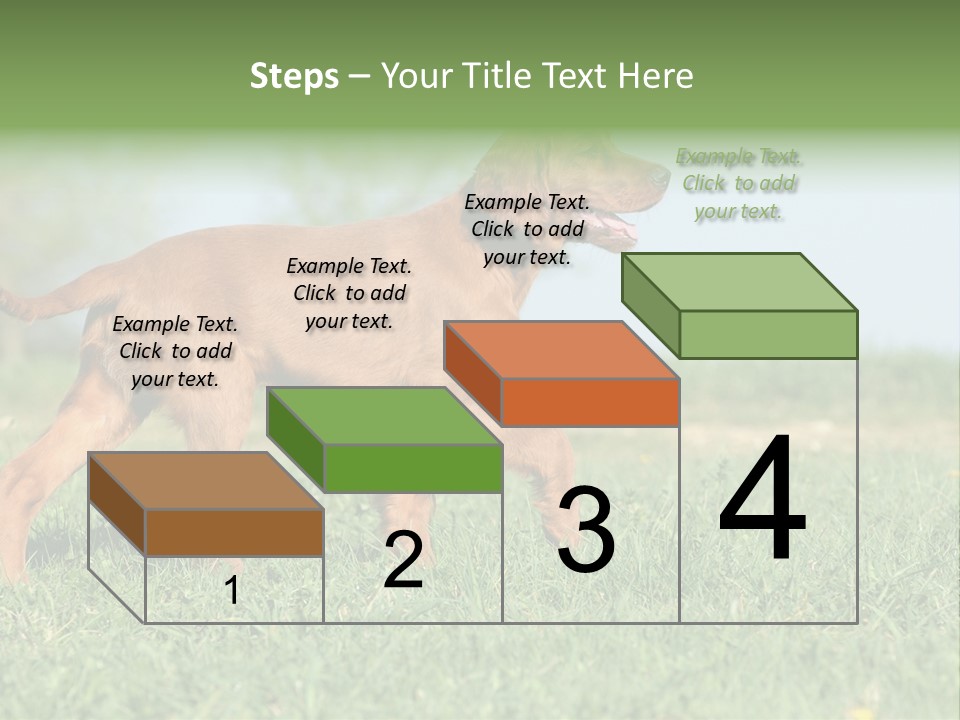 A Brown Dog Running Across A Lush Green Field PowerPoint Template