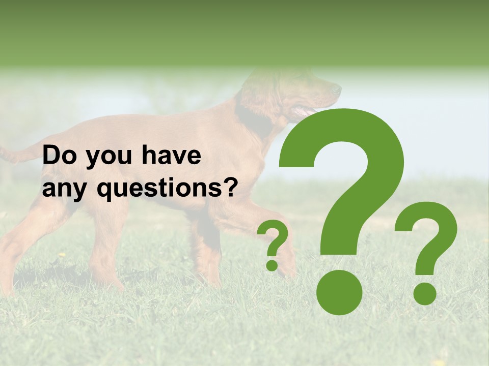 A Brown Dog Running Across A Lush Green Field PowerPoint Template