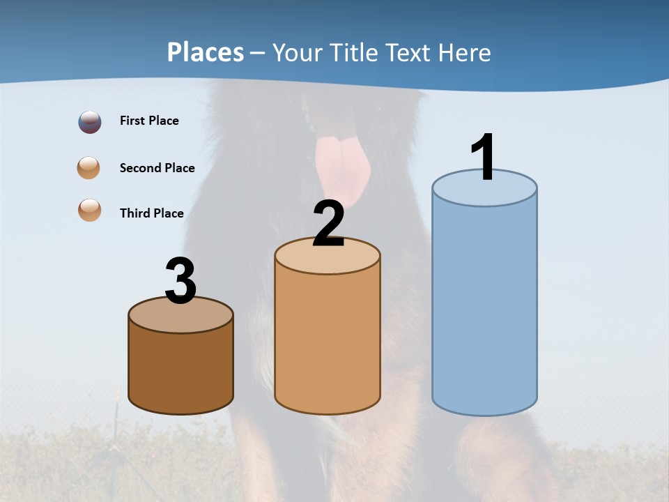 A Dog Sitting On Top Of A Wooden Bench PowerPoint Template