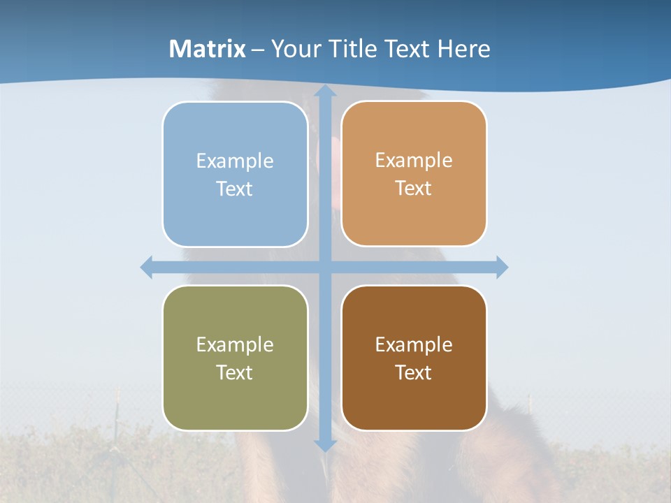 A Dog Sitting On Top Of A Wooden Bench PowerPoint Template