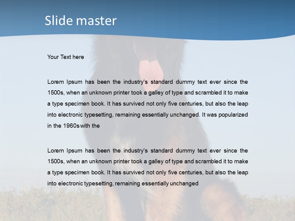 A Dog Sitting On Top Of A Wooden Bench PowerPoint Template