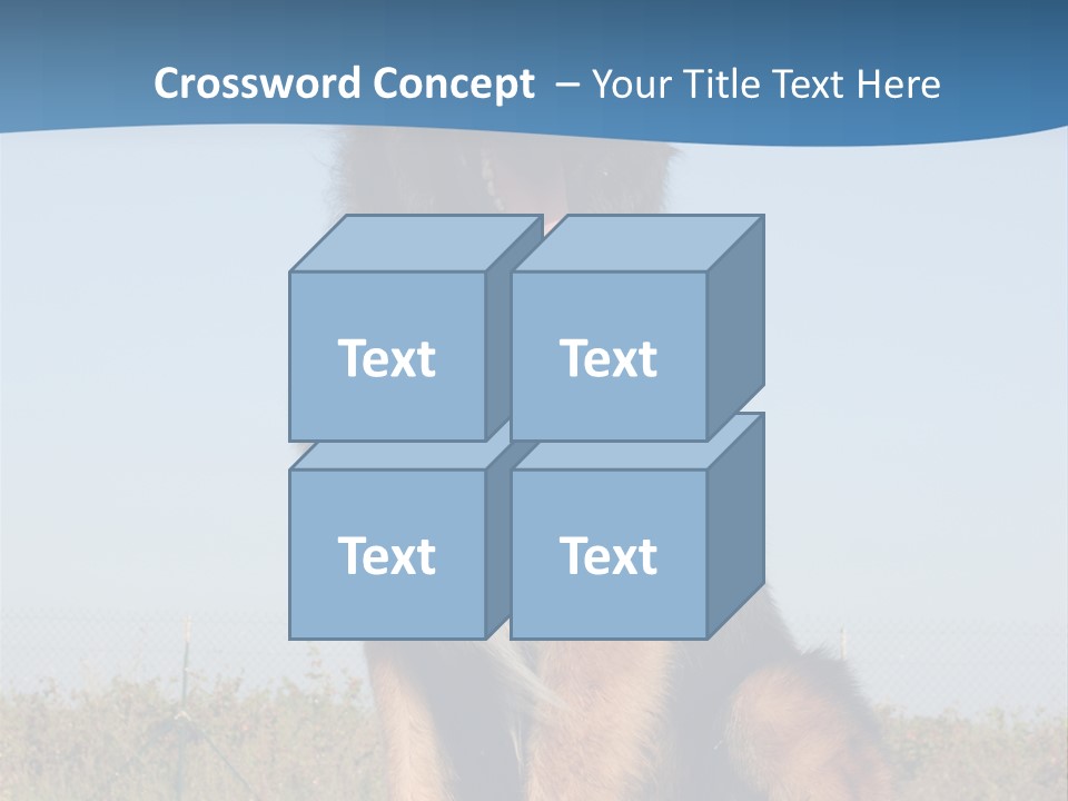 A Dog Sitting On Top Of A Wooden Bench PowerPoint Template