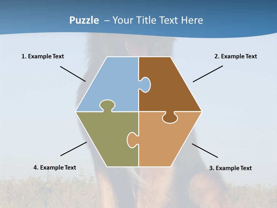 A Dog Sitting On Top Of A Wooden Bench PowerPoint Template