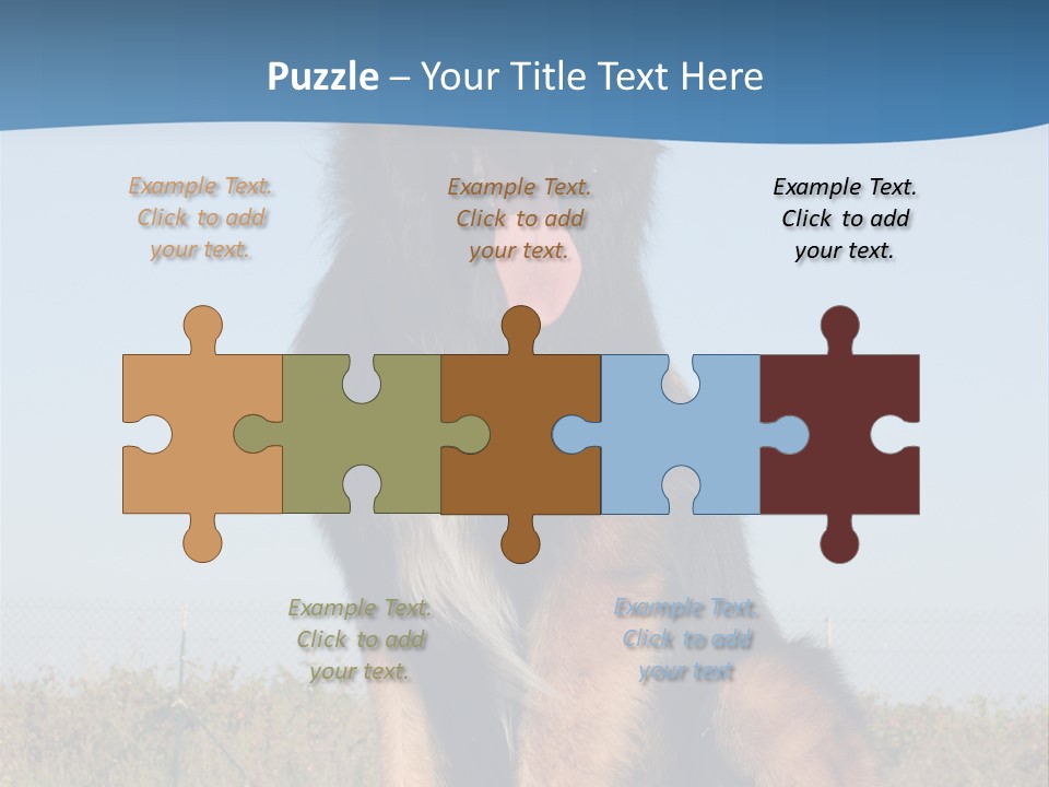 A Dog Sitting On Top Of A Wooden Bench PowerPoint Template