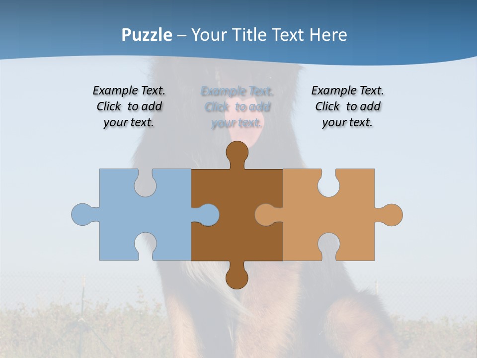 A Dog Sitting On Top Of A Wooden Bench PowerPoint Template