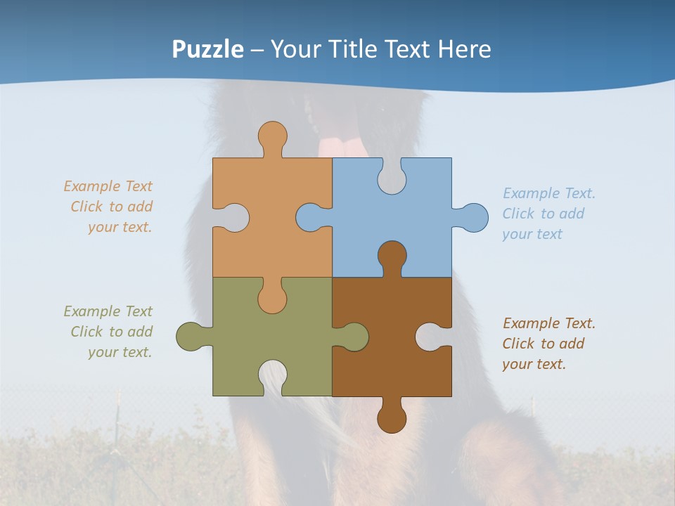 A Dog Sitting On Top Of A Wooden Bench PowerPoint Template