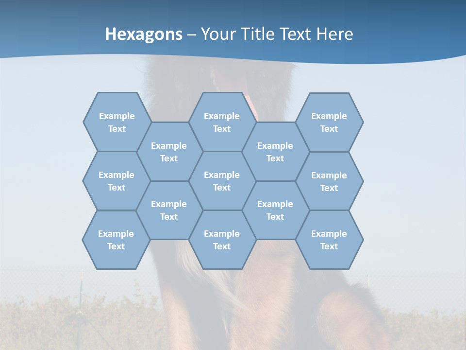 A Dog Sitting On Top Of A Wooden Bench PowerPoint Template