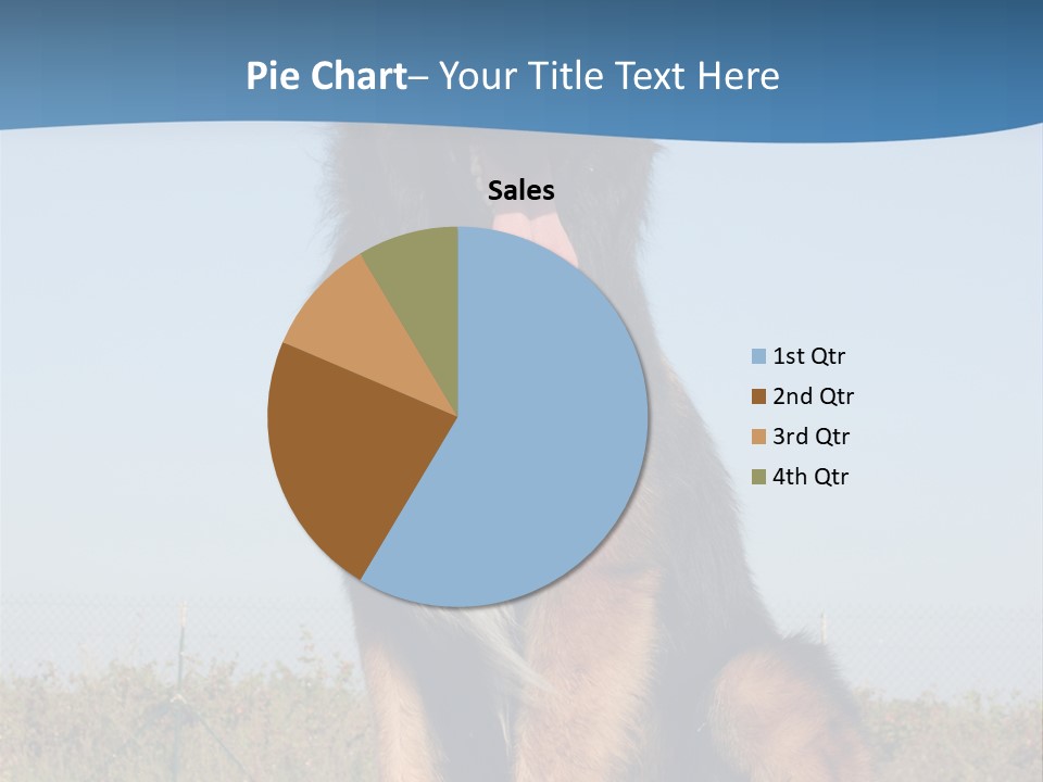 A Dog Sitting On Top Of A Wooden Bench PowerPoint Template