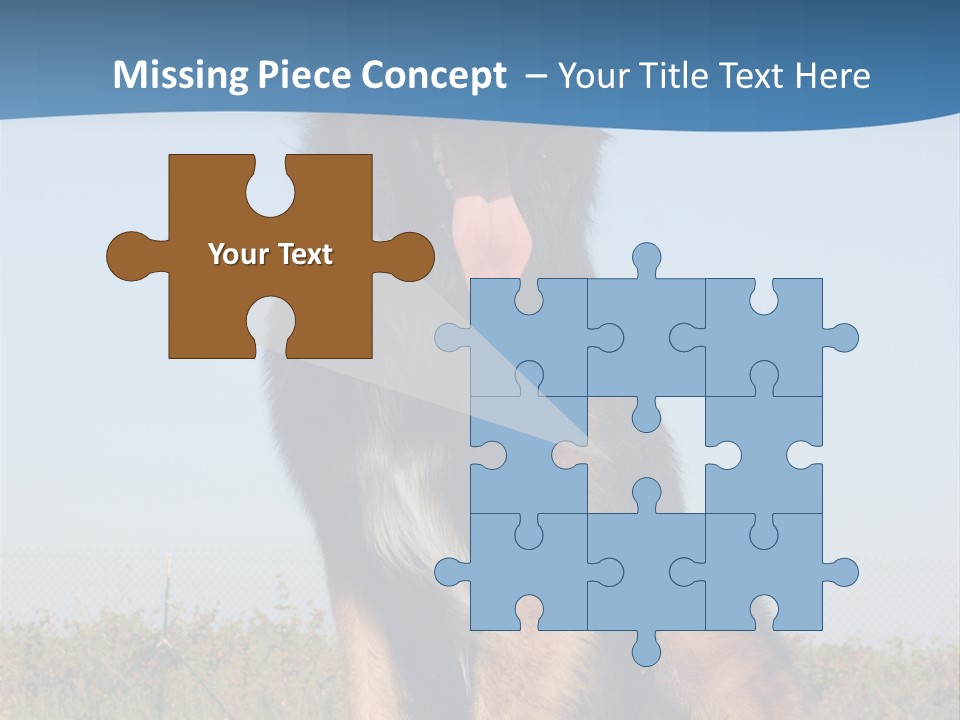 A Dog Sitting On Top Of A Wooden Bench PowerPoint Template