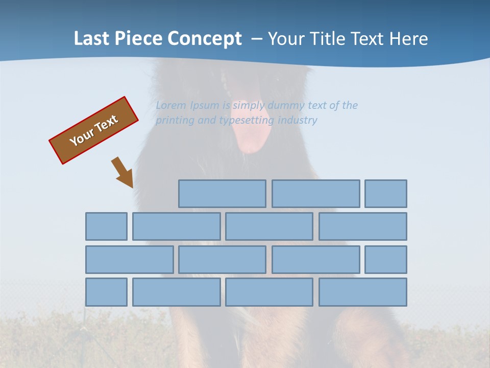 A Dog Sitting On Top Of A Wooden Bench PowerPoint Template