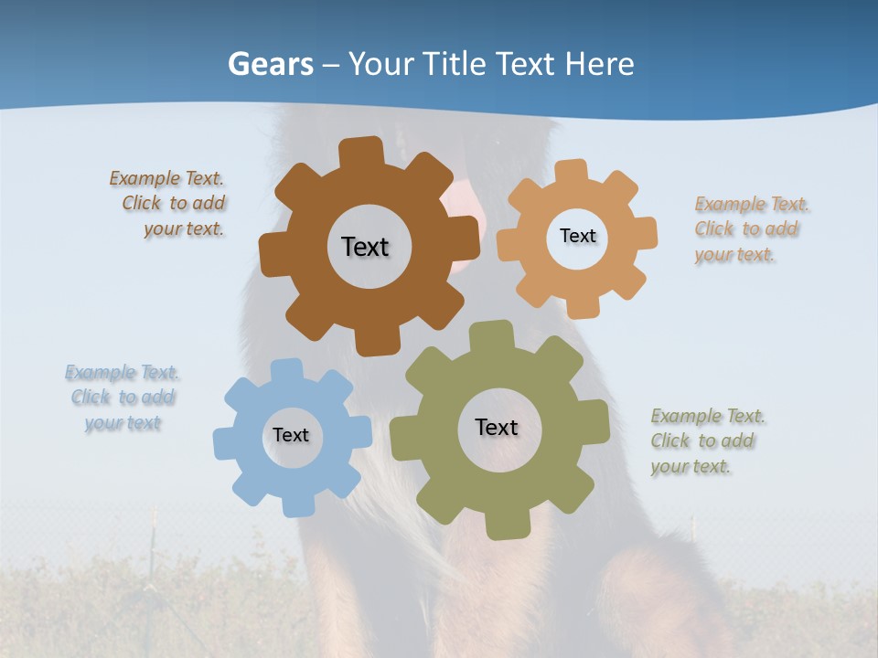 A Dog Sitting On Top Of A Wooden Bench PowerPoint Template