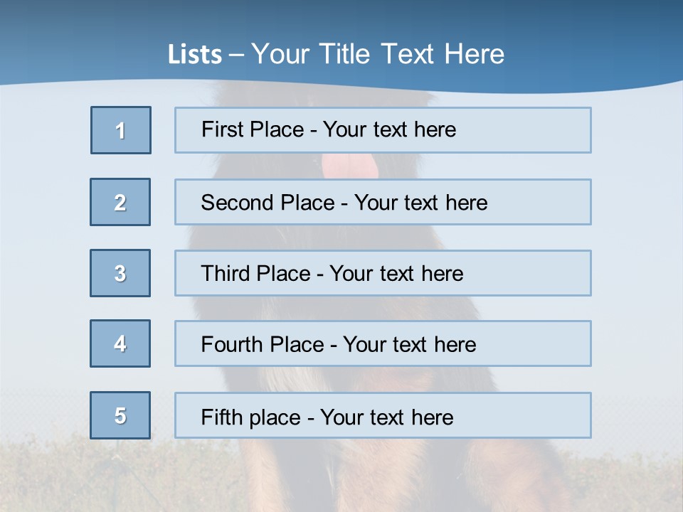 A Dog Sitting On Top Of A Wooden Bench PowerPoint Template