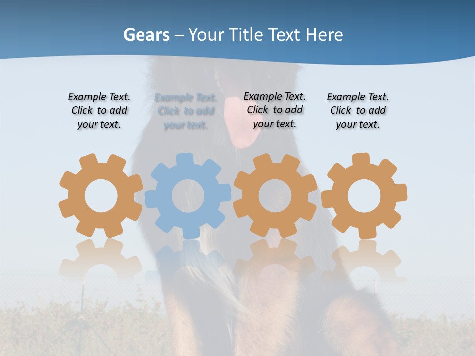 A Dog Sitting On Top Of A Wooden Bench PowerPoint Template