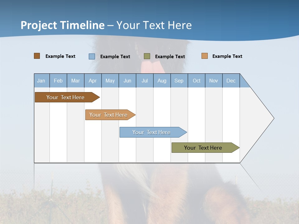 A Dog Sitting On Top Of A Wooden Bench PowerPoint Template