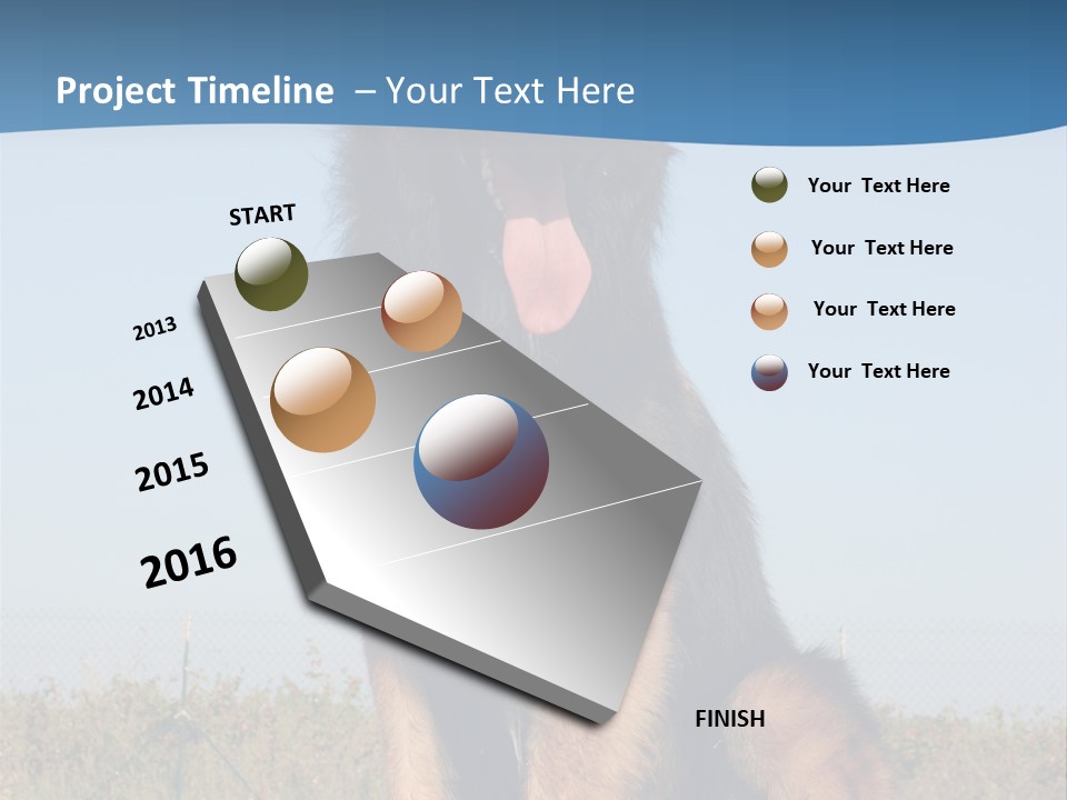 A Dog Sitting On Top Of A Wooden Bench PowerPoint Template