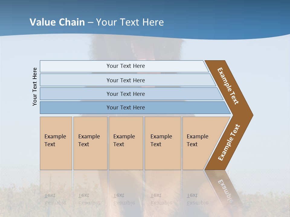 A Dog Sitting On Top Of A Wooden Bench PowerPoint Template