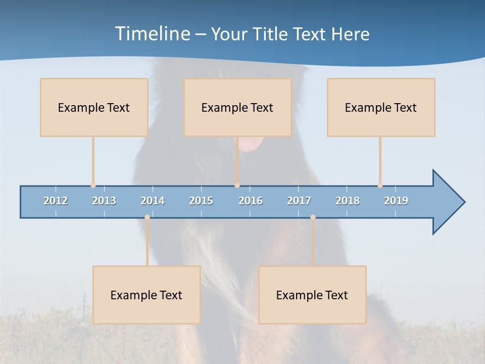 A Dog Sitting On Top Of A Wooden Bench PowerPoint Template