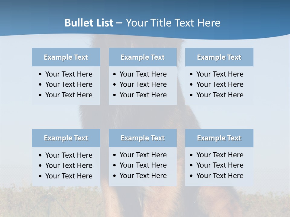 A Dog Sitting On Top Of A Wooden Bench PowerPoint Template