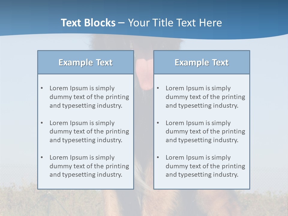 A Dog Sitting On Top Of A Wooden Bench PowerPoint Template