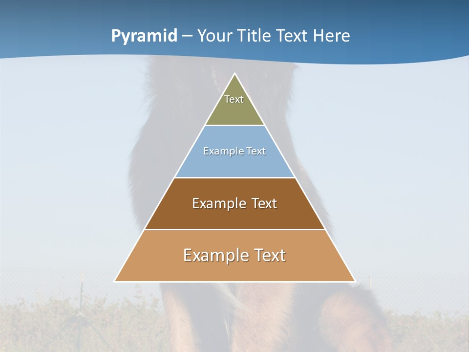 A Dog Sitting On Top Of A Wooden Bench PowerPoint Template