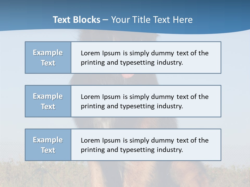 A Dog Sitting On Top Of A Wooden Bench PowerPoint Template