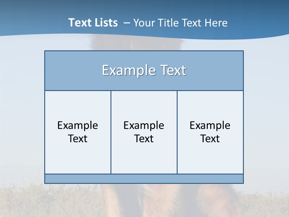 A Dog Sitting On Top Of A Wooden Bench PowerPoint Template