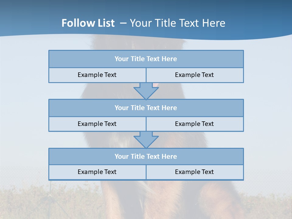 A Dog Sitting On Top Of A Wooden Bench PowerPoint Template