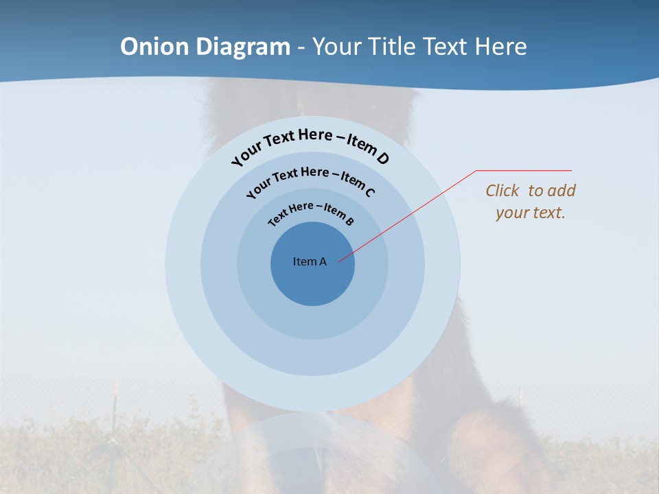 A Dog Sitting On Top Of A Wooden Bench PowerPoint Template