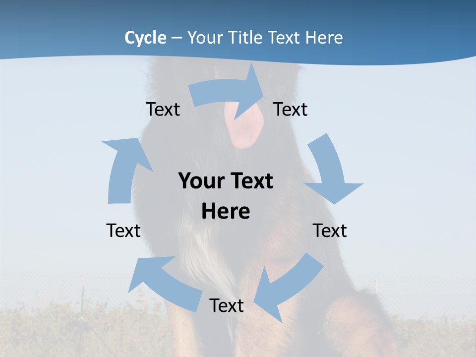 A Dog Sitting On Top Of A Wooden Bench PowerPoint Template