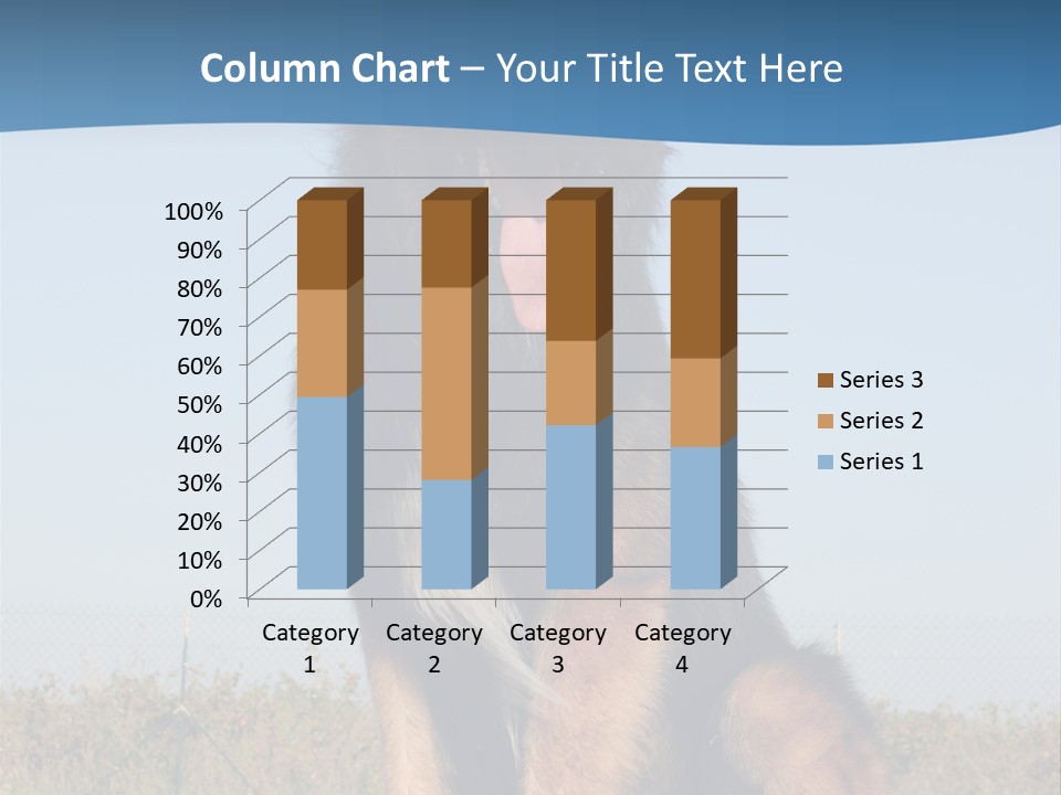 A Dog Sitting On Top Of A Wooden Bench PowerPoint Template