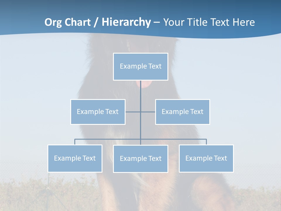 A Dog Sitting On Top Of A Wooden Bench PowerPoint Template