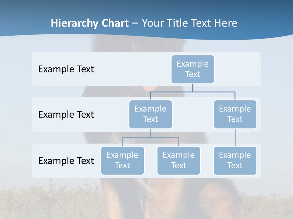 A Dog Sitting On Top Of A Wooden Bench PowerPoint Template