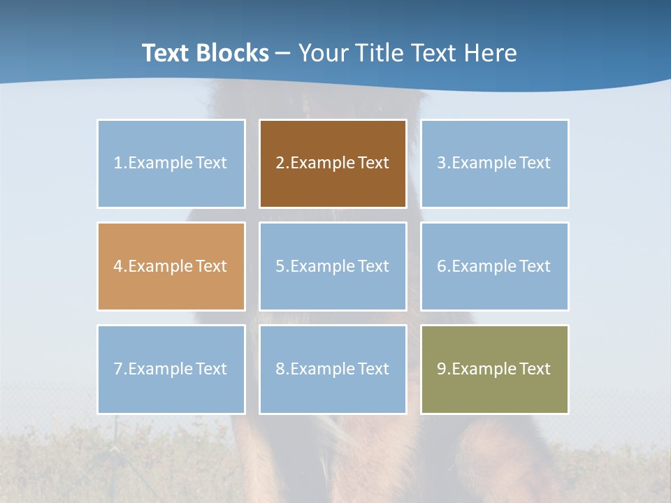 A Dog Sitting On Top Of A Wooden Bench PowerPoint Template