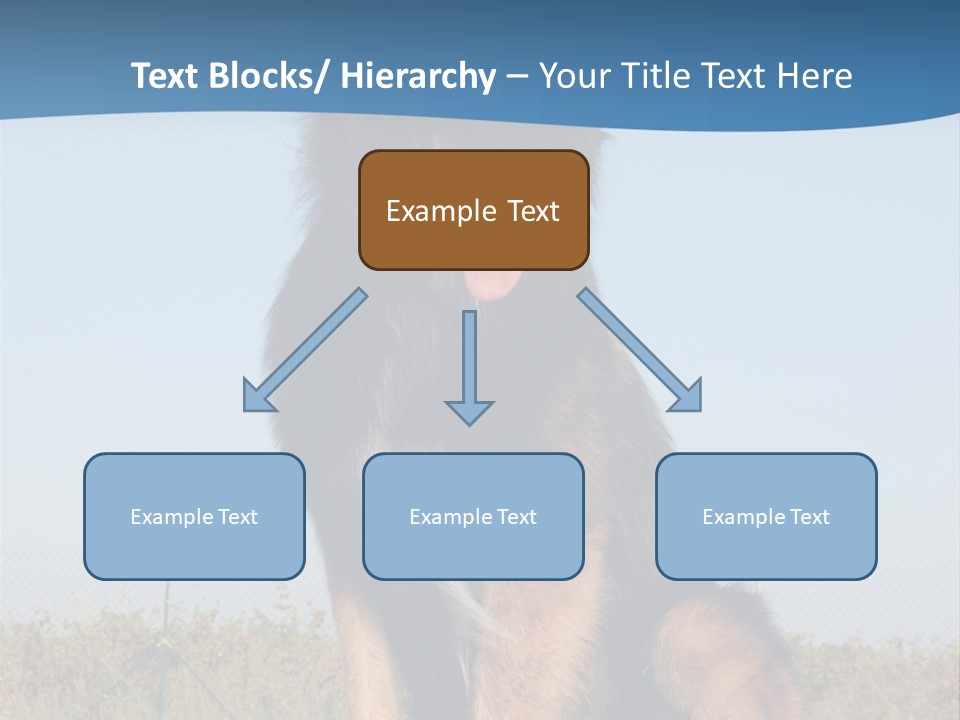 A Dog Sitting On Top Of A Wooden Bench PowerPoint Template