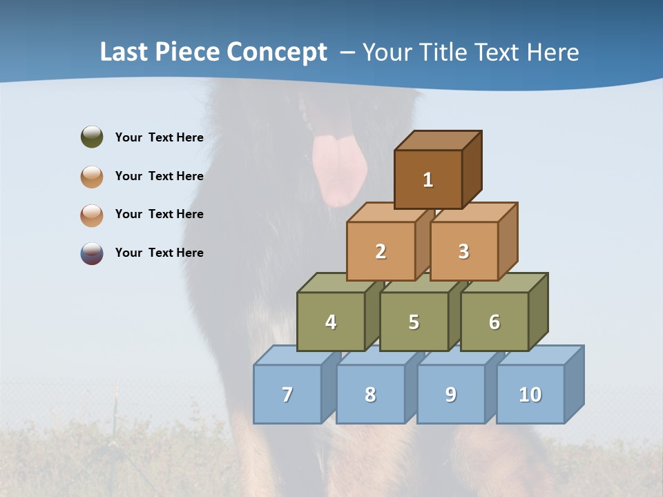 A Dog Sitting On Top Of A Wooden Bench PowerPoint Template