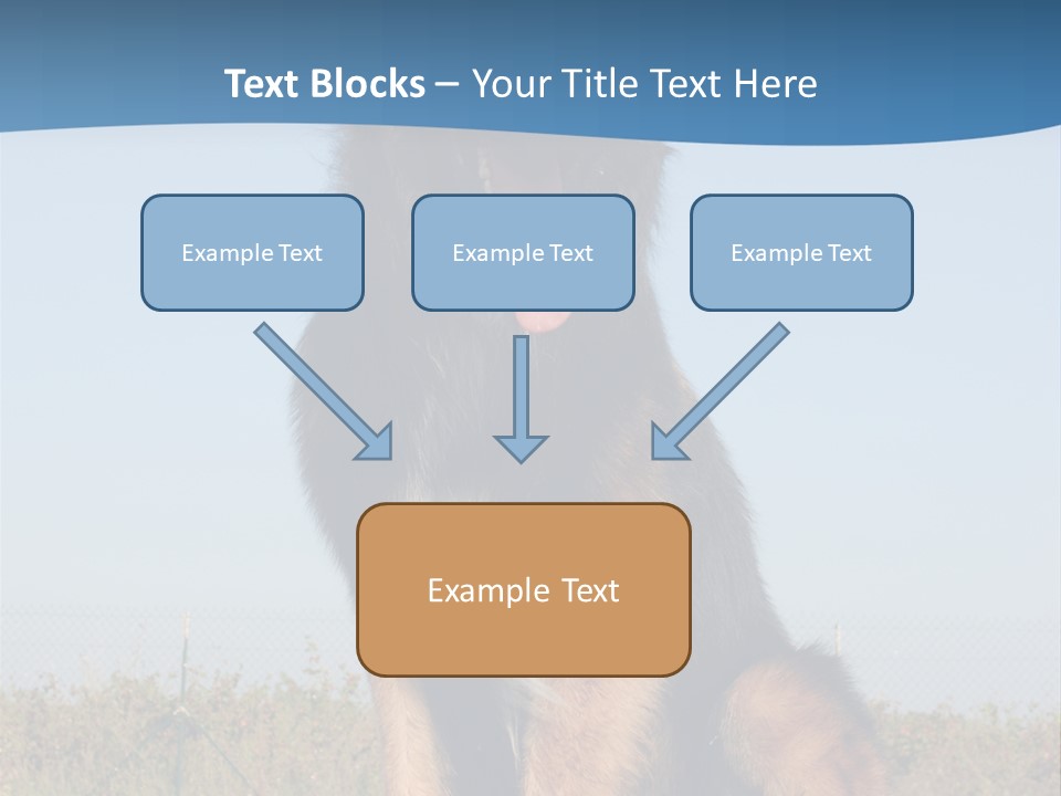 A Dog Sitting On Top Of A Wooden Bench PowerPoint Template