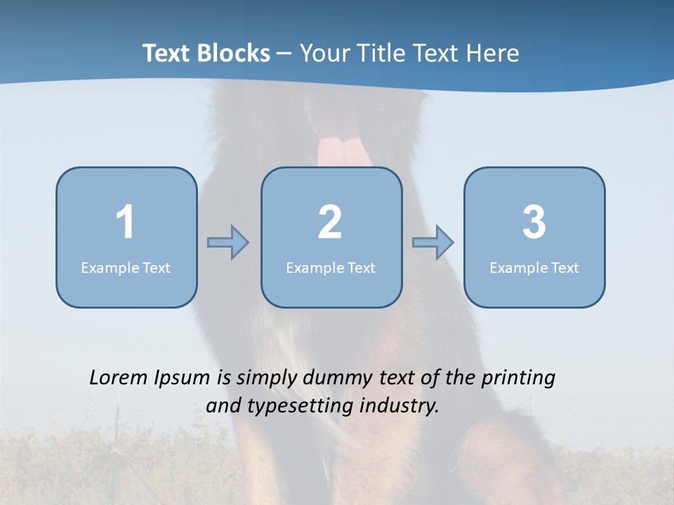 A Dog Sitting On Top Of A Wooden Bench PowerPoint Template