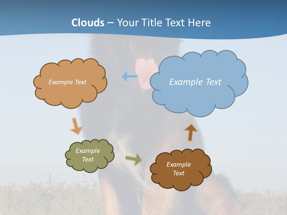 A Dog Sitting On Top Of A Wooden Bench PowerPoint Template
