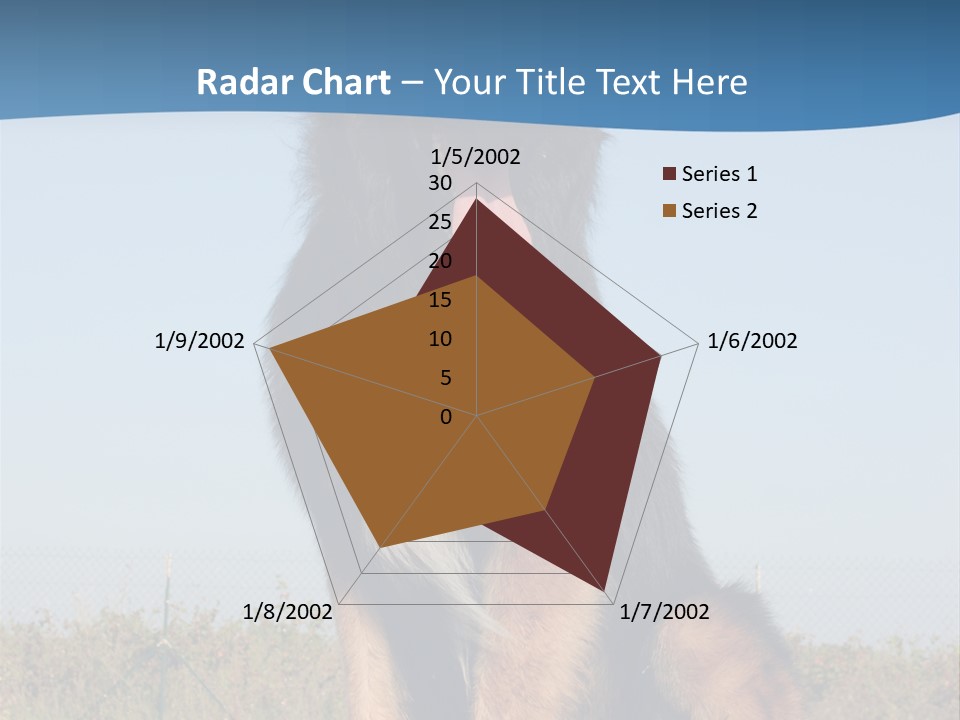 A Dog Sitting On Top Of A Wooden Bench PowerPoint Template