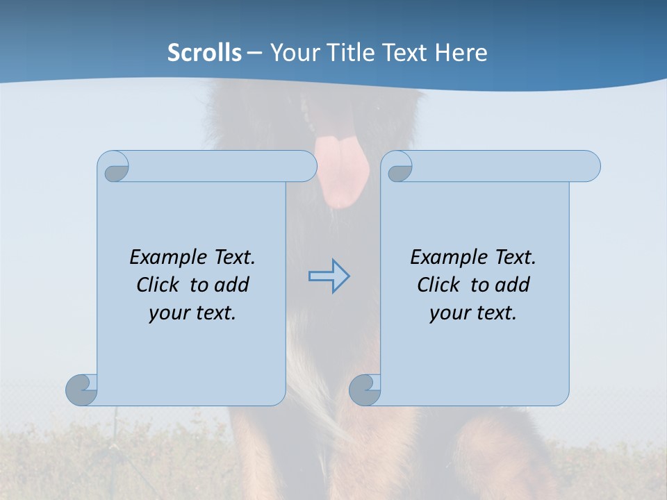 A Dog Sitting On Top Of A Wooden Bench PowerPoint Template