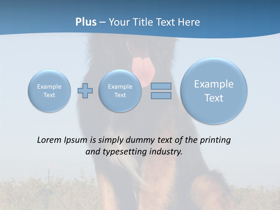 A Dog Sitting On Top Of A Wooden Bench PowerPoint Template