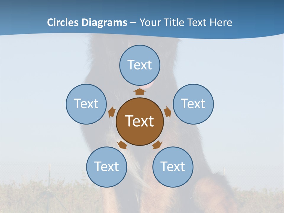 A Dog Sitting On Top Of A Wooden Bench PowerPoint Template